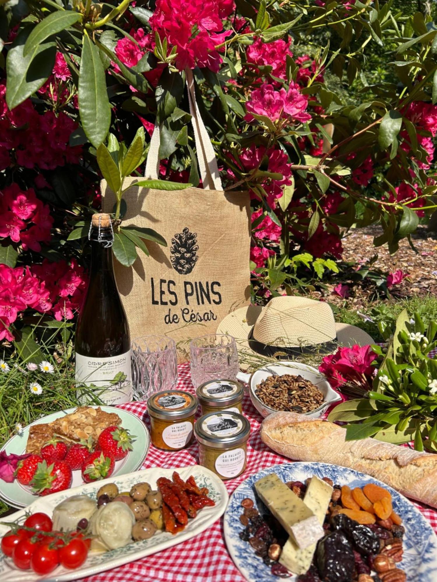 Hotel Les Pins de César - La campagne d'Etretat Saint-Jouin-Bruneval Esterno foto