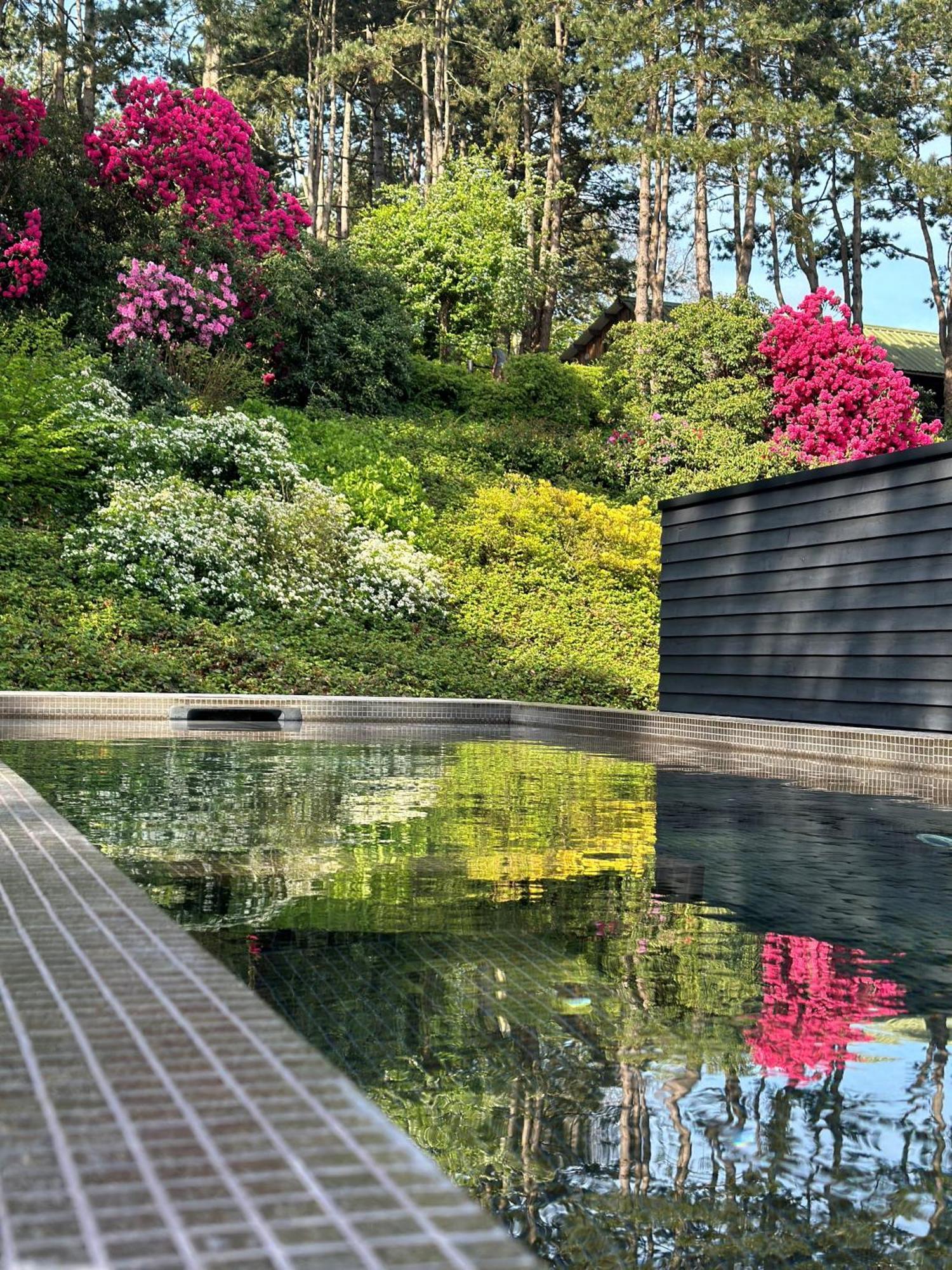 Hotel Les Pins de César - La campagne d'Etretat Saint-Jouin-Bruneval Esterno foto